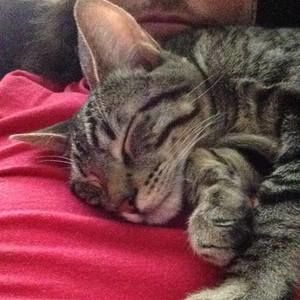 Meet your Posher, Benjamin